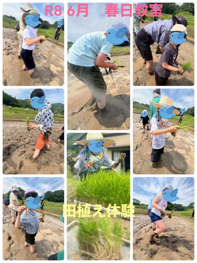 こどもデイサービス ことり - 大分市の放課後等デイサービス